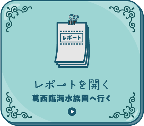 レポートを開く[葛西臨海水族園へ行く]